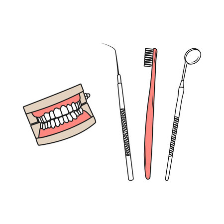 Human jaws model. Teeth instruments for oral hygiene. line art. Dental health care concept. Hand...