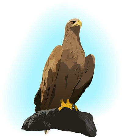 Eagle on the rockのイラスト素材