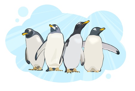 Penguins のイラスト素材