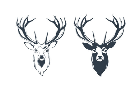 Vector Illustration of a Male Red Deer Headのイラスト素材