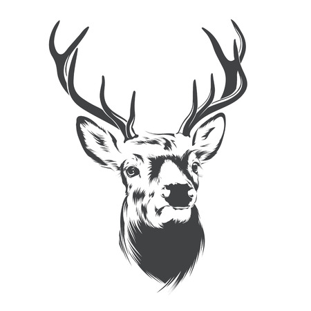 Deer Head on  White Backgroundのイラスト素材