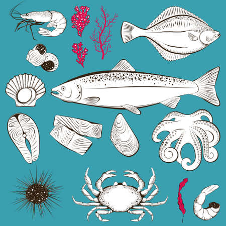 Set of hand drawn seafood and fish. Shrimp, fish, scallop, octopus, sea urchin and crab. Vector illustrationのイラスト素材