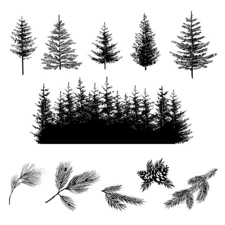 Set of forest trees. Realistic silhouettes of onifer trees and branches with cones. Spruce, fir, pine, cedar. Vector illustrationのイラスト素材