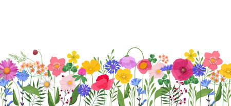 Horizontal banner with multicolored wildflowers and leavesのイラスト素材