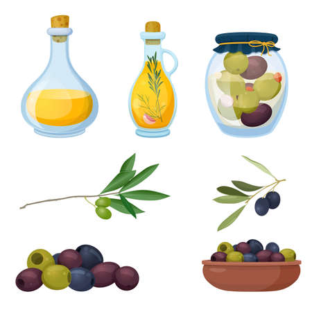 Set of olive products on white backgroundのイラスト素材