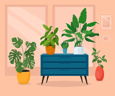 Different indoor plants in the living roomのイラスト素材