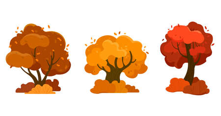 Set of three trees with autumn crownのイラスト素材