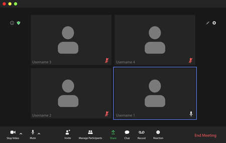 Video conference user interface, video conference calls window overlay.のイラスト素材