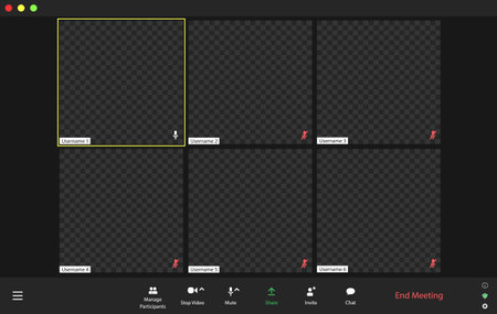 Video conference user interface, video conference calls window overlayのイラスト素材