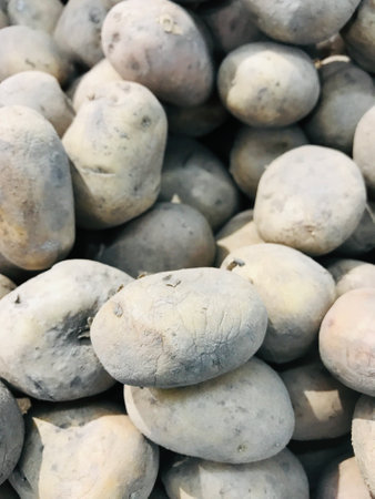 Farmers displaying newly harvested potatoes for saleの写真素材