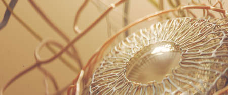 Super Close-up of 3D Rendering Human Eye Anatomy in Gold with Lighting Accents