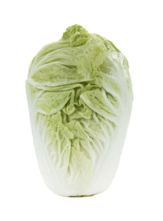 fresh chinese cabbage on a white backgroundの写真素材