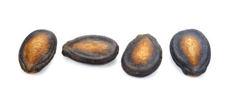 dry watermelon seed on white backgroundの写真素材