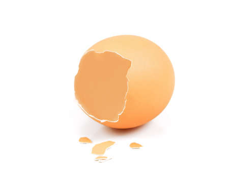 broken egg shell closeup on white background, The shell one brown egg's on white background