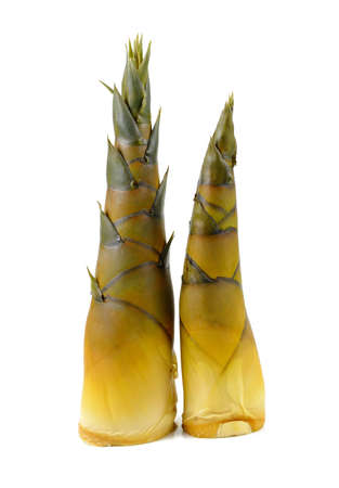 Bamboo shoots isolated on white backgroundの写真素材