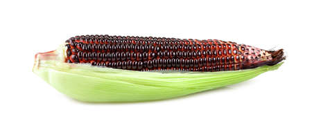 Isolated sweet corn. sweet purple corn with leaves isolated on white background