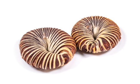 Sweet red bean buns isolated on white background