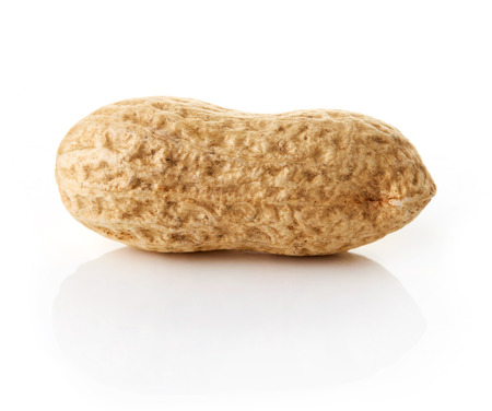 Dried peanut on white background, isolated