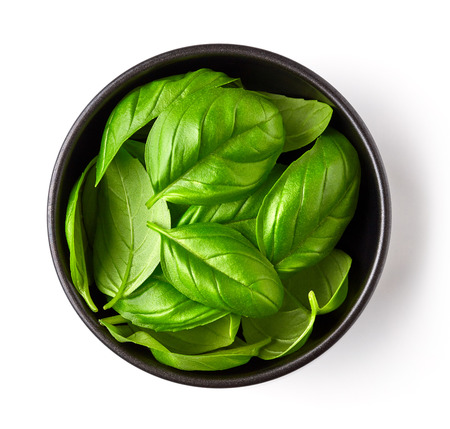 Bowl of basil leaves isolated on white background, top viewの写真素材