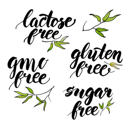 Modern brush calligraphy. Handwritten words - lactose free, gluten free, gmo free, sugar free. Ink hand lettering. Hand drawn bamboo leavesのイラスト素材
