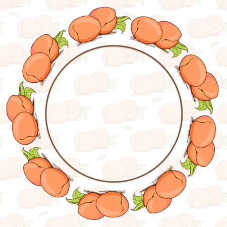 Appetizing apricot sketch style vector seamless pattern on white background. Background of hand...