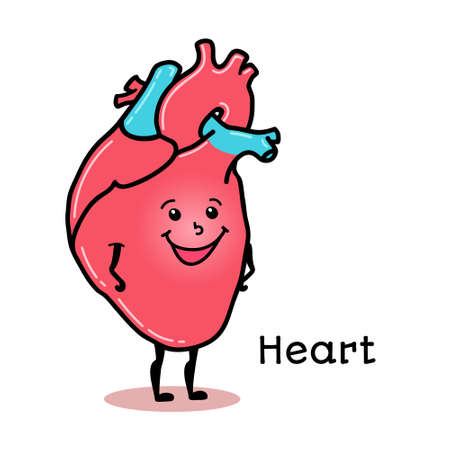Cute and funny human heart character, cartoon vector illustration isolated on white background. Healthy smiling heart character with arms and legsのイラスト素材