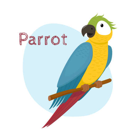 Cute macaw, ara parrot sitting on tree branch, tropical, exotic bird, cartoon vector illustration isolated on white background. Cartoon style macaw parrot sitting on a branchのイラスト素材