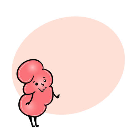 Cute and funny kidney character with human face and round space for text, cartoon vector illustration isolated on white background. Healthy smiling kidney character with human faceのイラスト素材