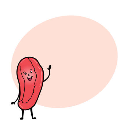 Cute and funny spleen character with human face and round space for text, cartoon vector illustration isolated on white background. Healthy smiling spleen character with human faceのイラスト素材