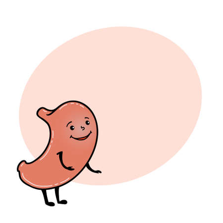 Cute and funny stomach character with human face and round space for text, cartoon vector illustration isolated on white background. Healthy smiling stomach character with human faceの写真素材