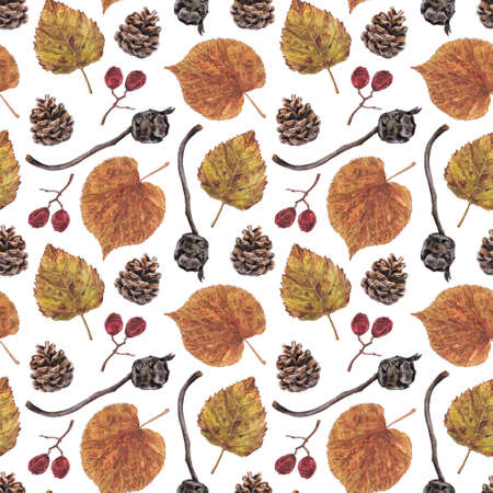 Seamless pattern with realistic autumn leaves, dry berries and cones, watercolour illustration on white background. Seamless watercolor pattern with dry leaves, cones and autumn berries on whiteの写真素材