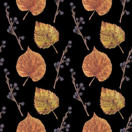 Seamless pattern with realistic dry birch, aspen leaves and blue autumn berries, watercolour illustration on black background. Seamless watercolor pattern with dry leaves and autumn berries on blackの写真素材