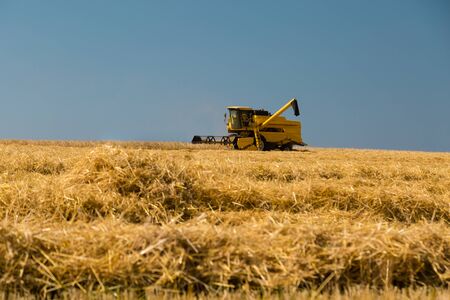 Yellow harvester harvesting the ripe crop on a sunny summer day.の写真素材