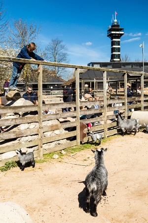 COPENHAGEN, DENMARK - APRIL 18, 2015: The popular Danish tourist attraction The Copenhagen Zoological Garden welcomes visitors on a sunny day during spring.のeditorial素材