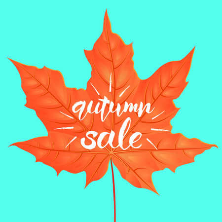 Hand drawn lettering of a phrase Autumn Sale. Vector illustration. Shape of maple leaf. Creative design template. Cartoon styleのイラスト素材