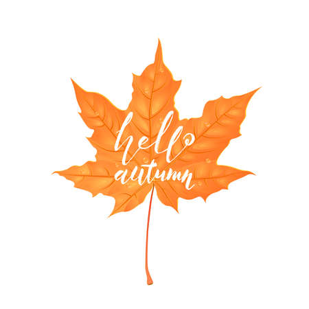 Hand drawn lettering of a phrase Hello Autumn. Vector illustration isolated on white. Shape of maple leaf. Creative design elements. Cartoon styleのイラスト素材