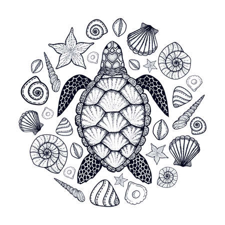 Sea turtle and shells in line art style. Hand drawn vector illustration. Top view. Design for coloring book. Set of ocean elementsのイラスト素材