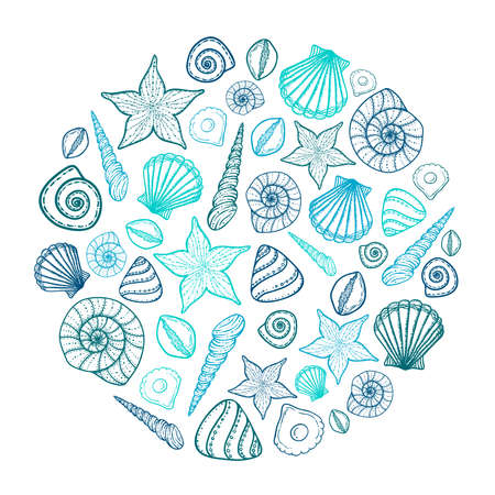Poster with seashells and starfishes. Marine background. Hand drawn vector illustration in doodle style. Sketchのイラスト素材