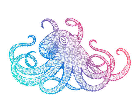 Vector illustration of octopus line art style. Design for t-shirt, posters. Sketchのイラスト素材