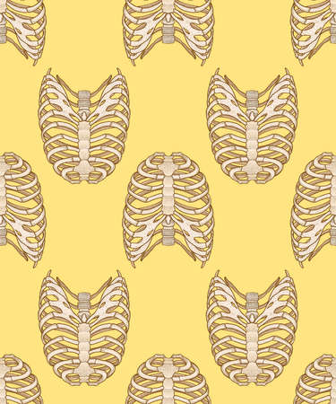 Seamless pattern with human rib cage. Line art style. Boho vector realistic illustration