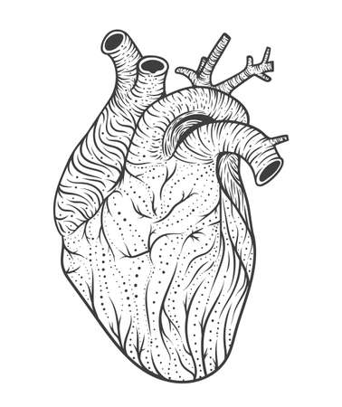 Human heart line art. Vector illustration. Tattoo style. Vintageのイラスト素材