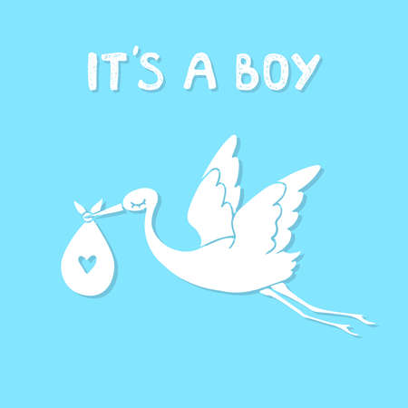 Flying stork with baby. It's a boy. Vector illustration cartoonのイラスト素材