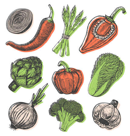 Set hand drawn elements with sketch style vegetables. Different peppers. Fresh cabbage. Artichoke and asparagus. Cauliflower, onionsのイラスト素材