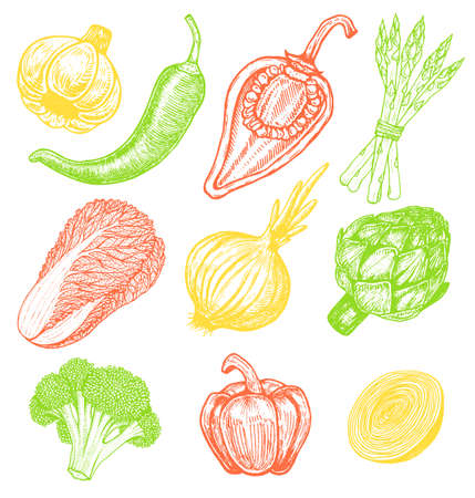 Set hand drawn elements with sketch style vegetables. Different peppers. Fresh cabbage. Artichoke and asparagus. Cauliflower, onionsのイラスト素材