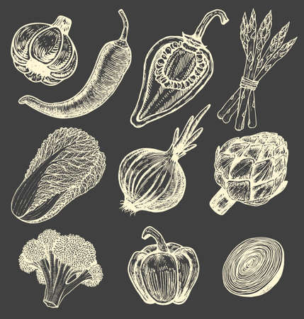 Set hand drawn elements with sketch style vegetables. Different peppers. Fresh cabbage. Artichoke and asparagus. Cauliflower, onionsのイラスト素材