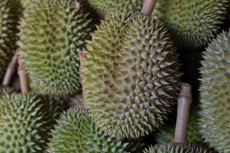 Fresh durian in the marketの写真素材