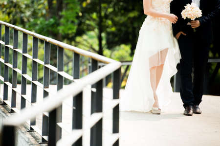 marigold,Marigolds (Tagetes erecta, Mexican marigold, Aztec marigold, African marigold)の写真素材