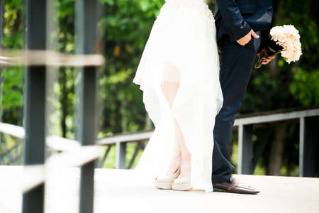 marigold,Marigolds (Tagetes erecta, Mexican marigold, Aztec marigold, African marigold)の写真素材