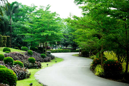 Garden Walkway,Beautiful fairy walkway with wide trees. Vibrant green colors.の写真素材
