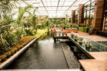 Empty wood benches along a sidewalk outside a greenhouse in a public gardenの写真素材